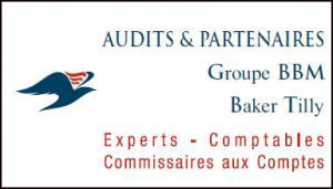 logo-ap